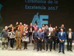 Fundación Agustín Serrate, Premio a la Excelencia Empresarial de Aragón